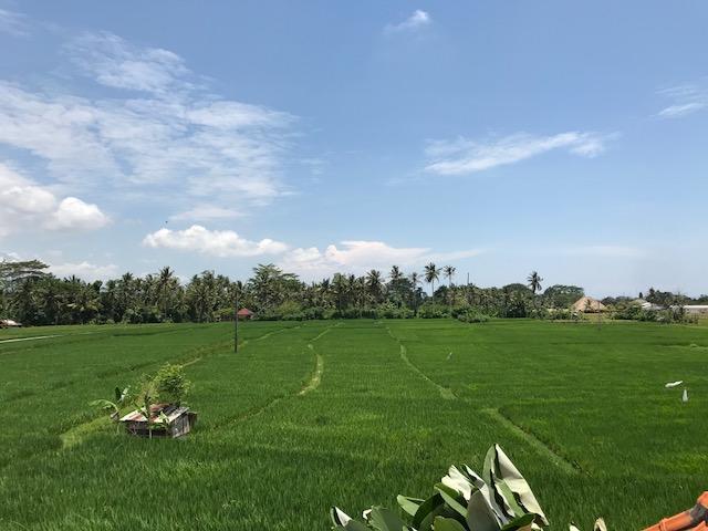 Heavenly View Villa Ubud Exteriér fotografie