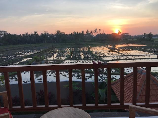 Heavenly View Villa Ubud Exteriér fotografie